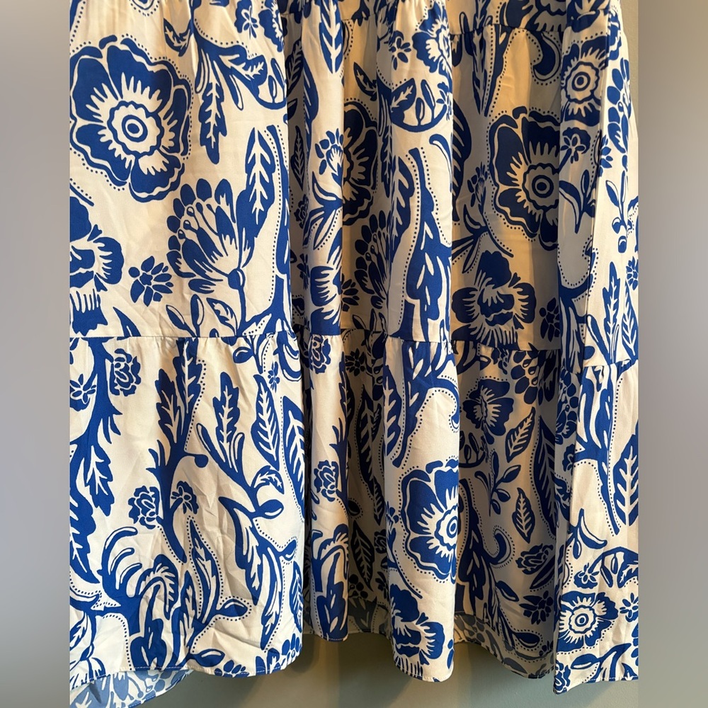 Blue and White Floral V-Neck Maxi Dress - Picture 6 of 9